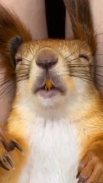 VID_20250816_112016_871.mp4