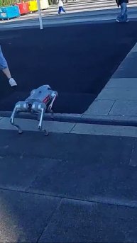 Бионический робот собака Unitree Go2 Air