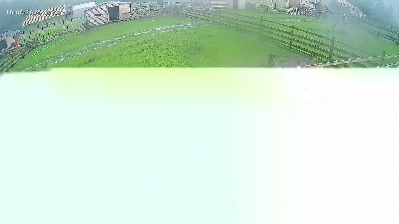 ЗООПАРК Камера 1