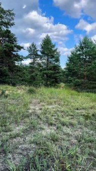 Путешествие за ВОЛГУ‼️ #отдых #путешествия #россия #блогер #тикток #успех #природа #красота #волга