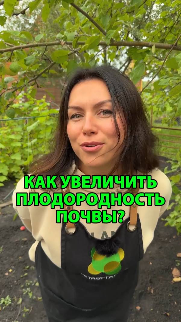 Какие сидераты можно посеять в августе для плодородности почвы