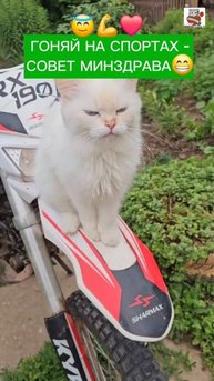 Совет минздрава 😇💪❤️🏍😻
