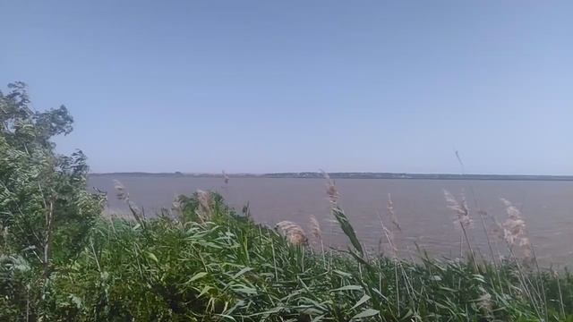 VID_20250728_103012