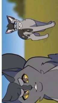 песня называется " Мимо нас пьяное солнце"