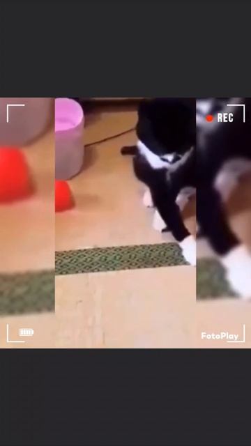 #рек #рекомендации #подписка