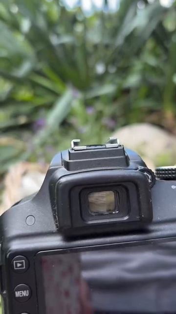 VID_20250816_184711_191.mp4