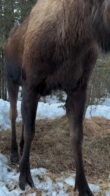 VID_20250816_111942_822.mp4