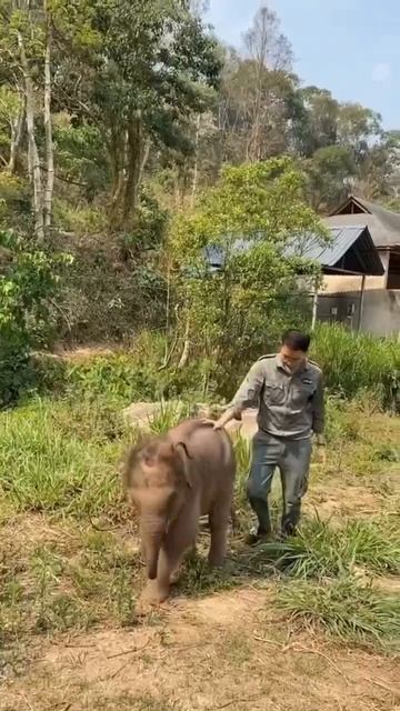 VID_20250816_184715_646.mp4