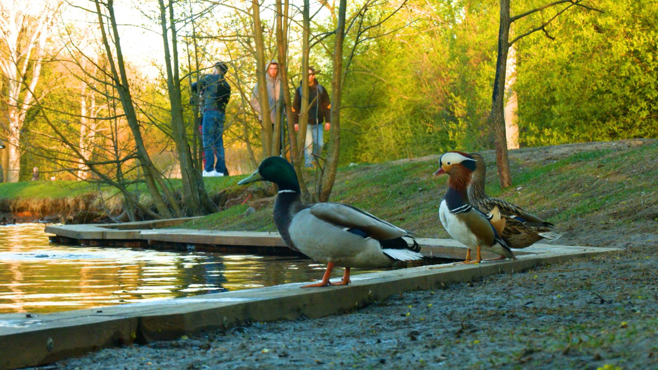 Дикие выходные с Павлом Глазковым. 16 августа