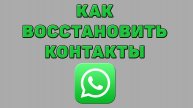 Как восстановить контакты в Ватсапе