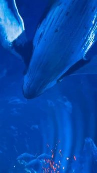 Новая локация.👍👍👍👍💯💯💯💯