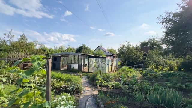 территория