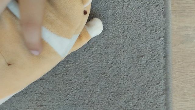 новый друзья 1 сезон 4 серия