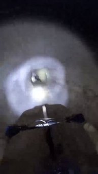 VID_20250817_104252_217.mp4