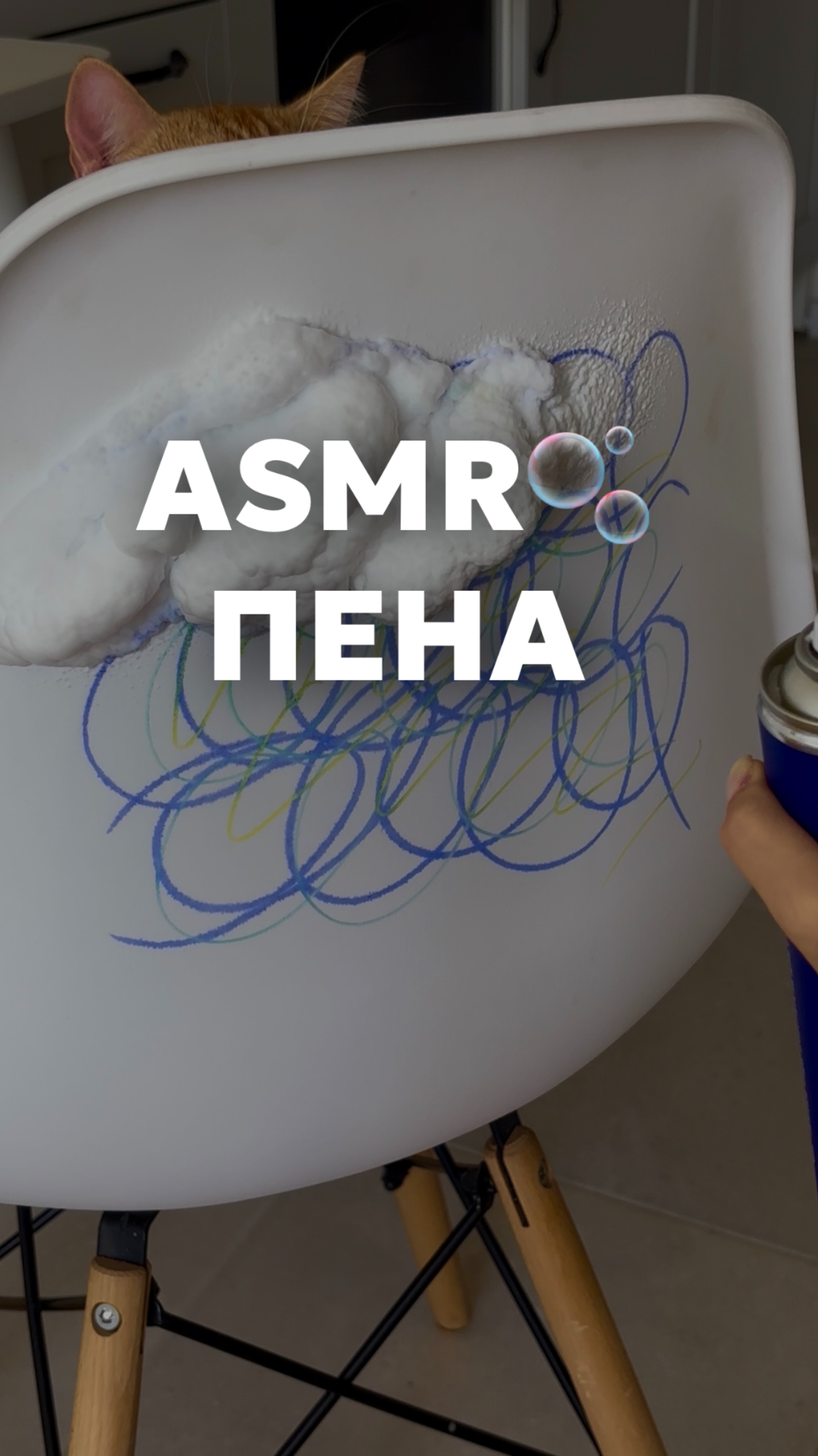 copy_6315C610-284A-494E-A30E-A8CE28A4B613