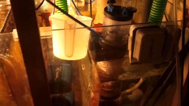 1 февраля 2014 г Видео0035