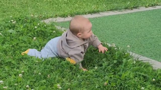 Лучшая газонокосилка 2025🤣🤣