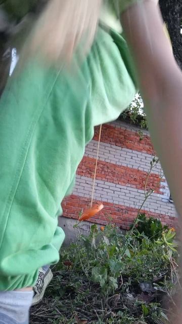 как проходят уровни нубик и про