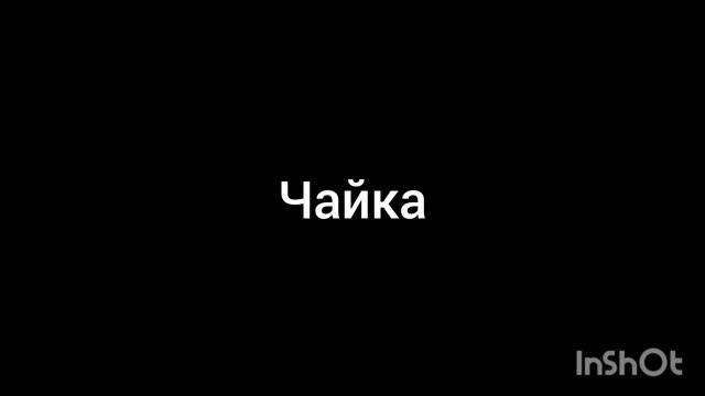 чайка