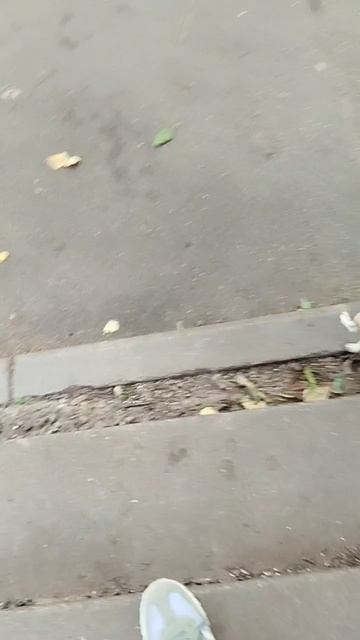 Сеня продолжает радовать😍