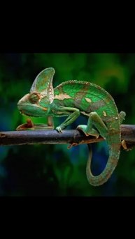 подпишись пожалуйста