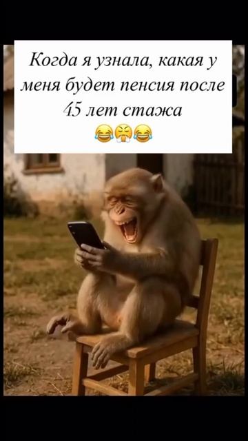 стабильность...