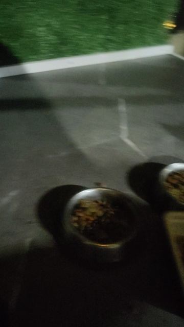 Опа, а чашечки пустые!