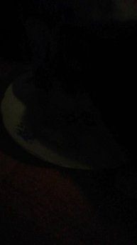 VID_20221227_061334