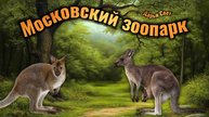 Кенгуру Беннетта. Московский зоопарк. Лето 2025