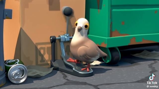 Голуби устроили концерт полный оригинал!