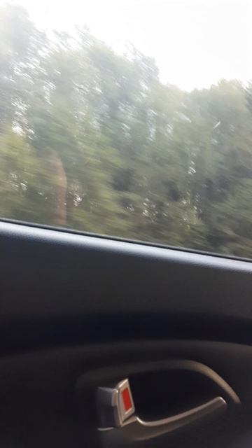 поездка на море