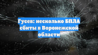 Гусев: несколько БПЛА сбиты в Воронежской области