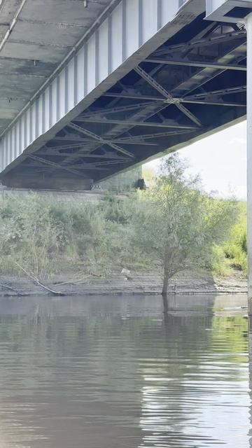 Сплав по реке Омь