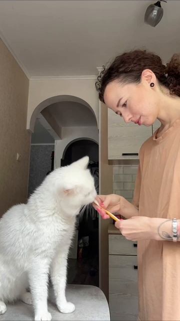 День 21/90
Небольшие, но продуктивные итоги недели 😁