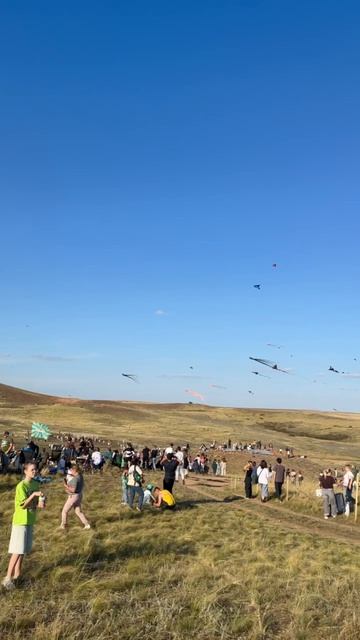 Сейчас на Боевой горе в Соль-Илецком районе оренбуржцы запускают летающие змеи.