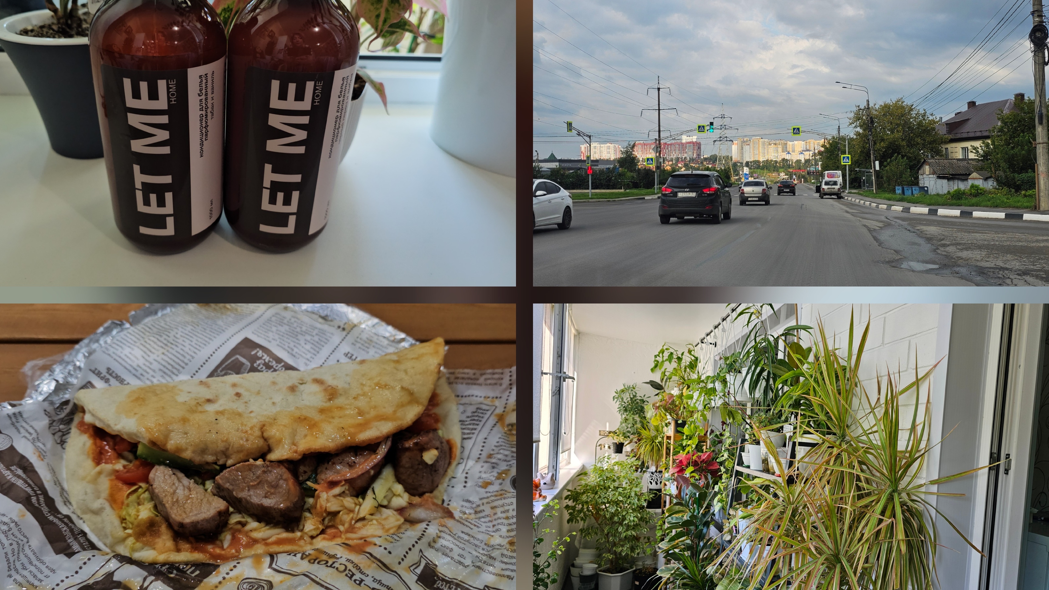 17.08.2025 г Мое утро/ Комнатные растения/ Мой заказ с Wb/ Мой обед/ Укладка на короткие волосы