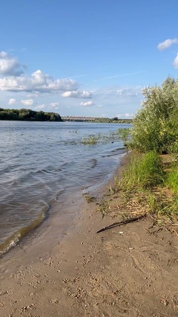 Веселюсь 😻