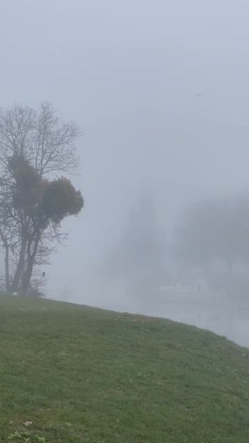 Калининградский туманный Альбион #music #rock #song