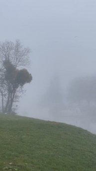 Калининградский туманный Альбион #music #rock #song