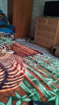 кошечка муся