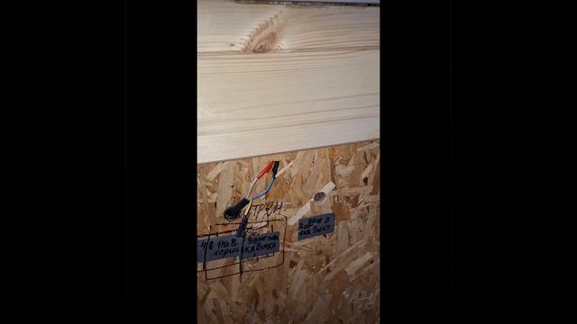 1000032396.mp4 (Собака смотрит на установку имитации бруса у э/щита в доме А-фрейм)