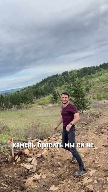 Доверие левой руки