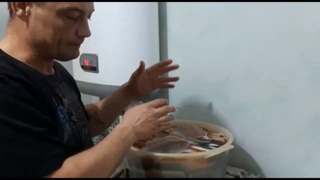 Процесс засолки и сушка рыбы Красноперка - Угай