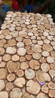 VID_20250817_171600_220.mp4