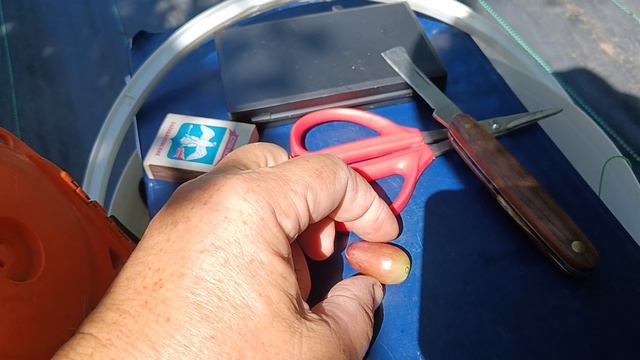 Виноград Медея(Щереденков В. А.) 16.08.25г.виноградник Король В.Н. г.Краснодар