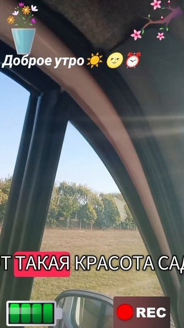 Доброе утро☀ 🌝⏰ от скорой помощи