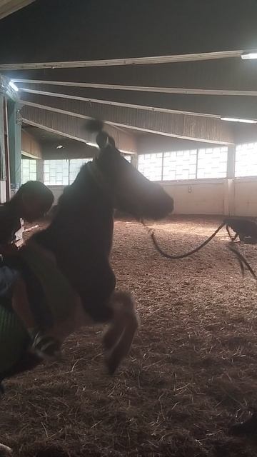 С днем рождения, Стрельна!