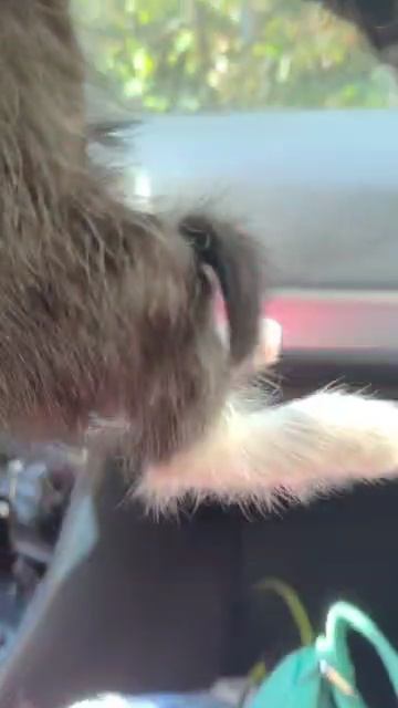 ЭТОЙ МАЛЫШКЕ УЖЕ ПОВЕЗЛО , ЧТО ЭТОТ РЕБЁНОК ПОПАЛСЯ НА НАШЕМ ПУТИ