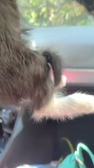 ЭТОЙ МАЛЫШКЕ УЖЕ ПОВЕЗЛО , ЧТО ЭТОТ РЕБЁНОК ПОПАЛСЯ НА НАШЕМ ПУТИ