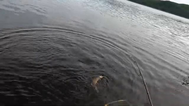 Простая рыбалка